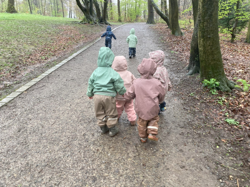 Unterwegs im Nützenberger Wald