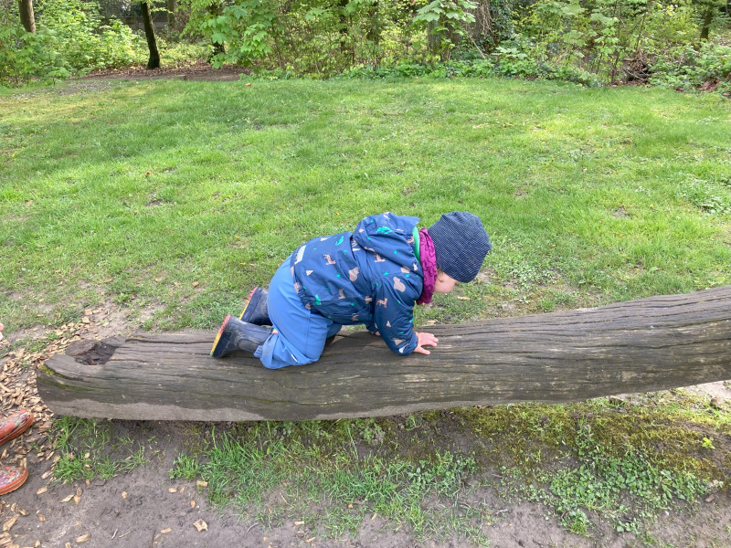 Im Wald balancieren